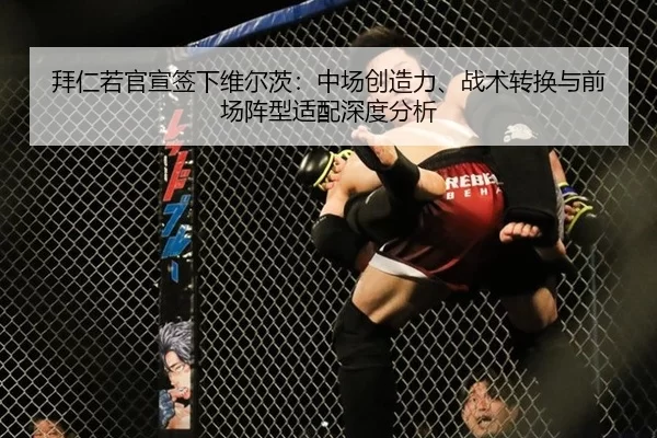 拜仁若官宣签下维尔茨：中场创造力、战术转换与前场阵型适配深度分析