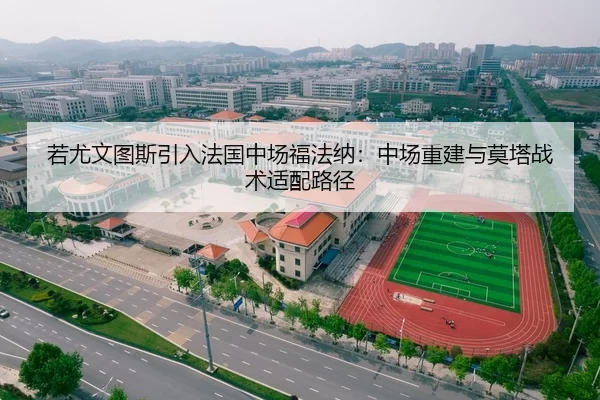 若尤文图斯引入法国中场福法纳：中场重建与莫塔战术适配路径
